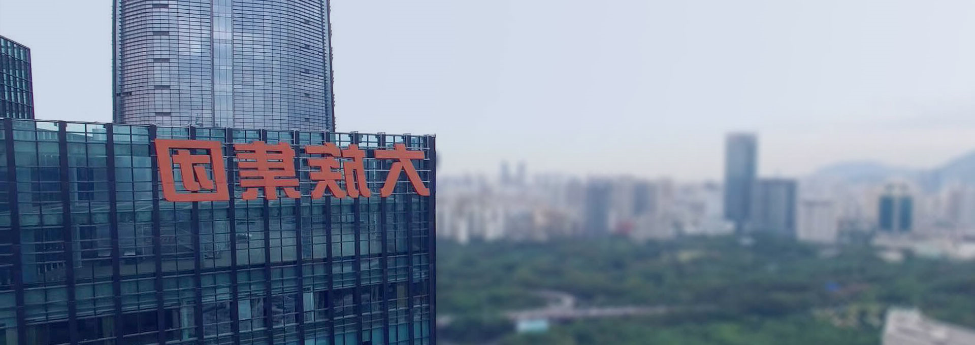 发展历程